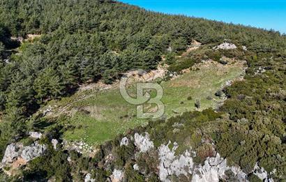 KEMALPAŞA KIZILÜZÜM SATILIK TARLA