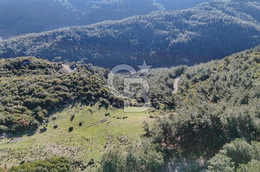 KEMALPAŞA KIZILÜZÜM SATILIK TARLA