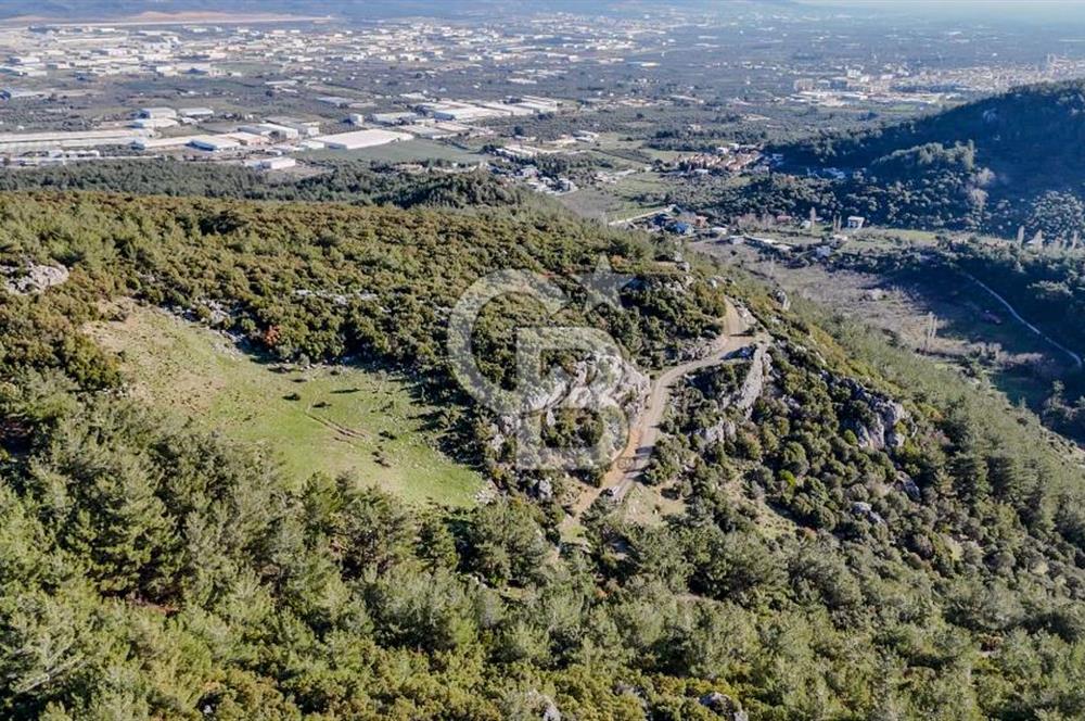 KEMALPAŞA KIZILÜZÜM SATILIK TARLA