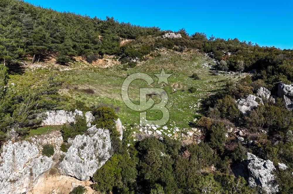 KEMALPAŞA KIZILÜZÜM SATILIK TARLA