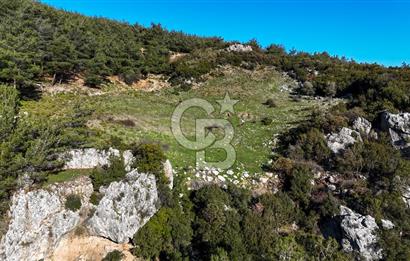 KEMALPAŞA KIZILÜZÜM SATILIK TARLA