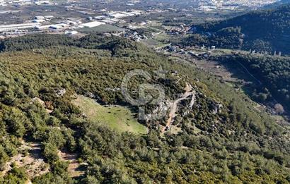 KEMALPAŞA KIZILÜZÜM SATILIK TARLA