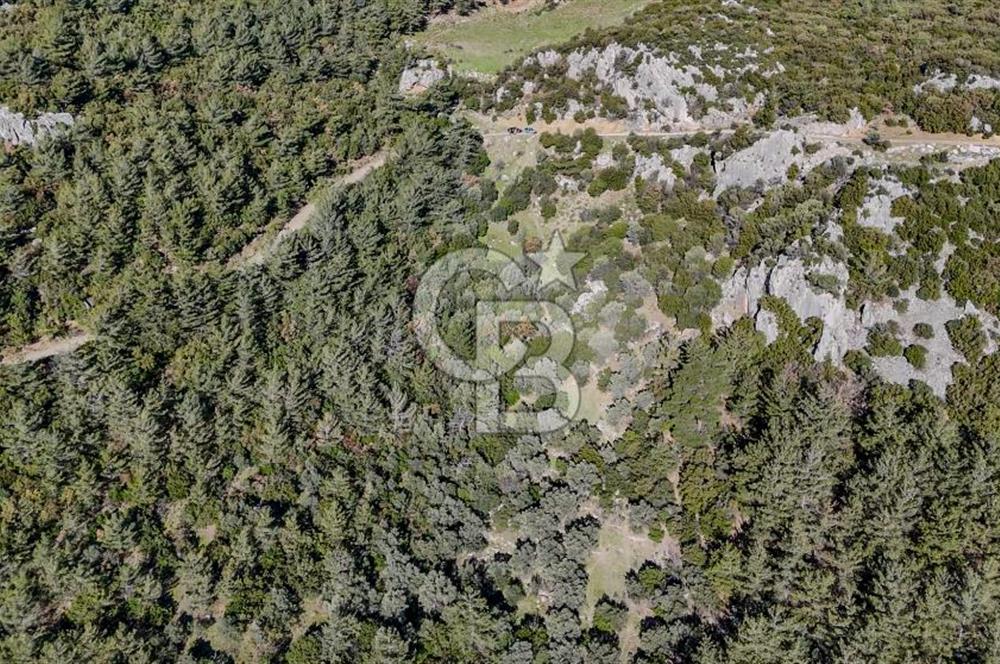 KEMALPAŞA KIZILÜZÜM SATILIK TARLA