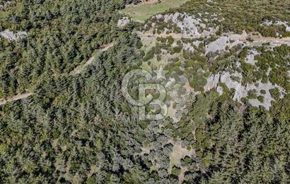 KEMALPAŞA KIZILÜZÜM SATILIK TARLA