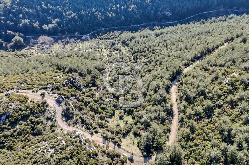 KEMALPAŞA KIZILÜZÜM SATILIK TARLA