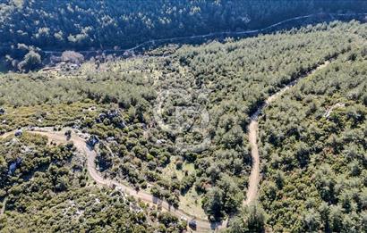 KEMALPAŞA KIZILÜZÜM SATILIK TARLA