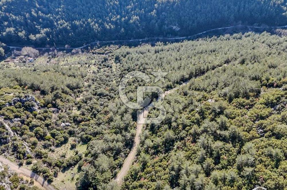 KEMALPAŞA KIZILÜZÜM SATILIK TARLA