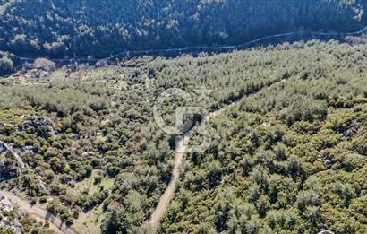 KEMALPAŞA KIZILÜZÜM SATILIK TARLA