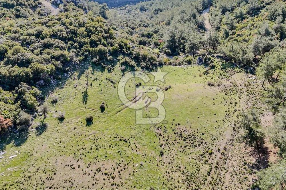 KEMALPAŞA KIZILÜZÜM SATILIK TARLA