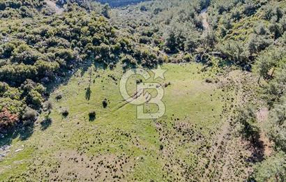 KEMALPAŞA KIZILÜZÜM SATILIK TARLA