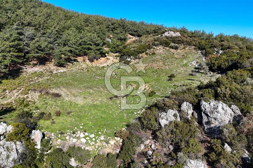 KEMALPAŞA KIZILÜZÜM SATILIK TARLA