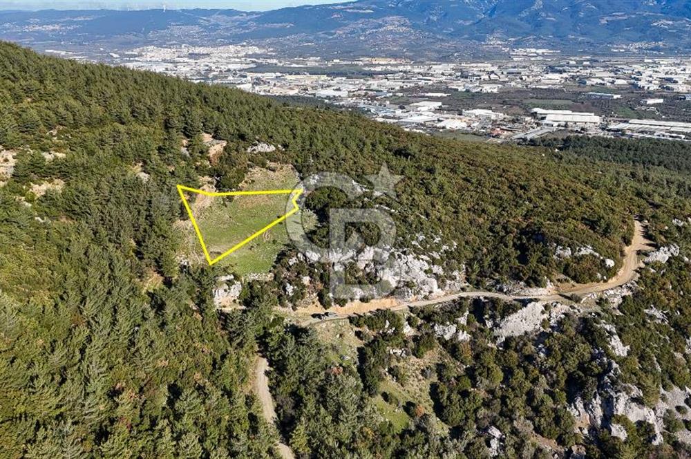 KEMALPAŞA KIZILÜZÜM SATILIK TARLA