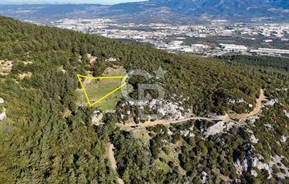 KEMALPAŞA KIZILÜZÜM SATILIK TARLA