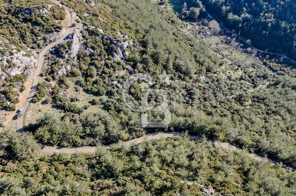 KEMALPAŞA KIZILÜZÜM SATILIK TARLA