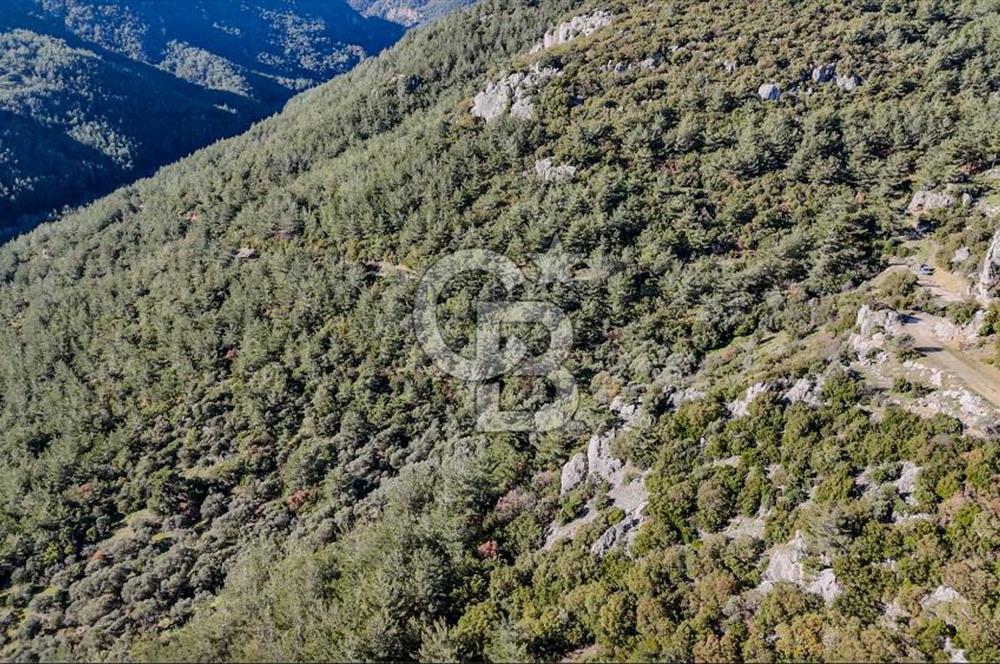 KEMALPAŞA KIZILÜZÜM SATILIK TARLA