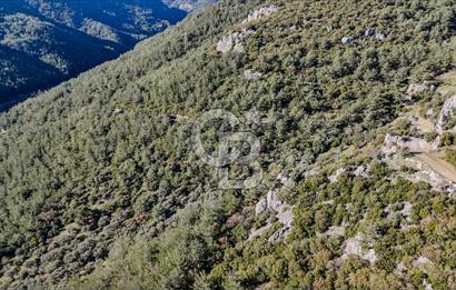 KEMALPAŞA KIZILÜZÜM SATILIK TARLA