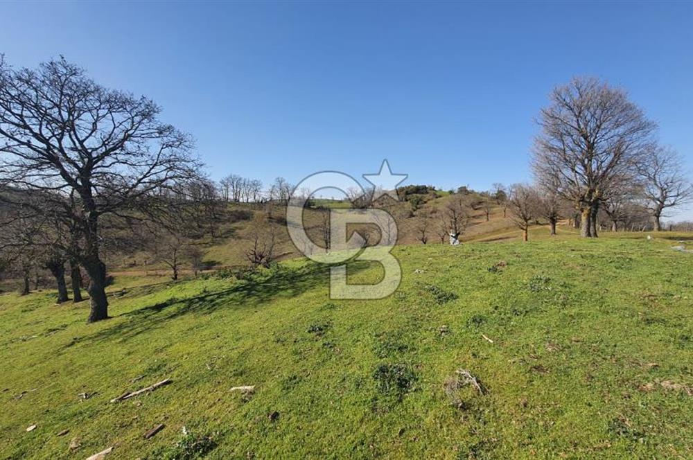 ÇAN ASMALI'DA KISMİ İMARLI ARAZİ