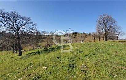 ÇAN ASMALI'DA KISMİ İMARLI ARAZİ