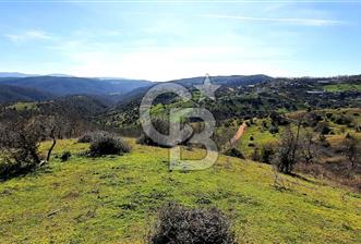 ÇAN ASMALI'DA KISMİ İMARLI ARAZİ - 1 - 333441