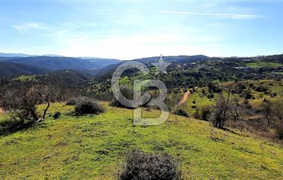 ÇAN ASMALI'DA KISMİ İMARLI ARAZİ