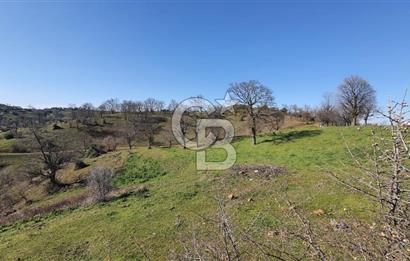 ÇAN ASMALI'DA KISMİ İMARLI ARAZİ