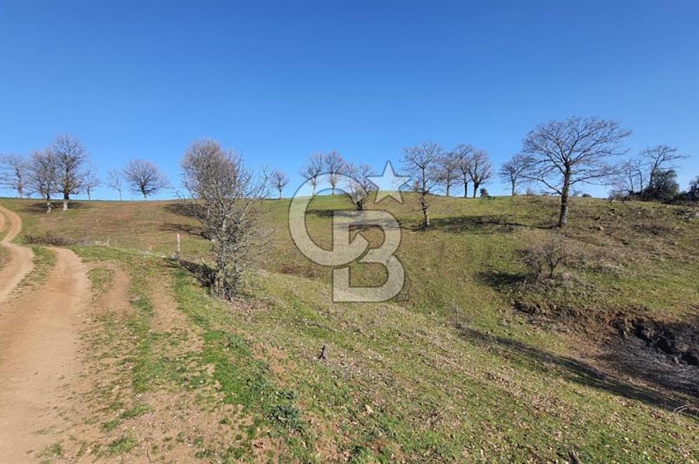 ÇAN ASMALI'DA KISMİ İMARLI ARAZİ