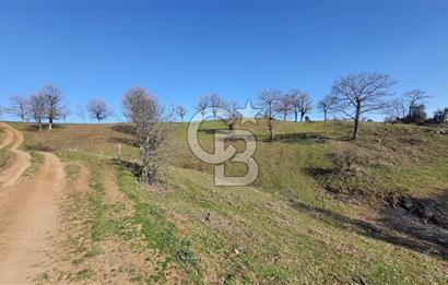 ÇAN ASMALI'DA KISMİ İMARLI ARAZİ