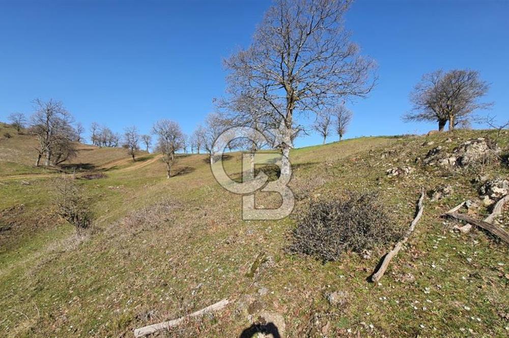 ÇAN ASMALI'DA KISMİ İMARLI ARAZİ