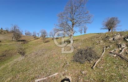 ÇAN ASMALI'DA KISMİ İMARLI ARAZİ