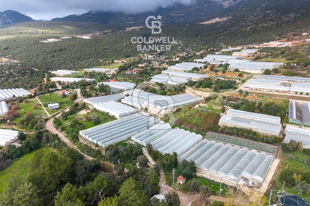 CB ARDEN DEN DEMRE İSKELE (YUKARI BEYMELEK) DE SATILIK TARLA