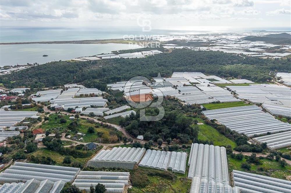 CB ARDEN DEN DEMRE İSKELE (YUKARI BEYMELEK) DE SATILIK TARLA