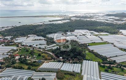 CB ARDEN DEN DEMRE İSKELE (YUKARI BEYMELEK) DE SATILIK TARLA