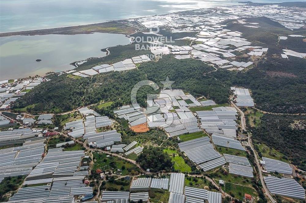 CB ARDEN DEN DEMRE İSKELE (YUKARI BEYMELEK) DE SATILIK TARLA