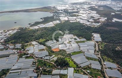 CB ARDEN DEN DEMRE İSKELE (YUKARI BEYMELEK) DE SATILIK TARLA