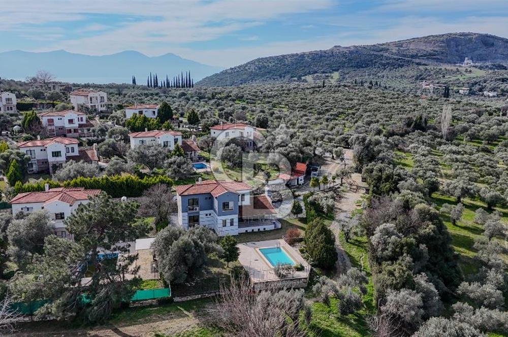Kuşadası Olivia Sitesinde Doğa İçinde Müstakil Havuzlu Villa