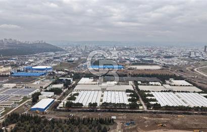 Yenimahalle Hurdacılar Sitesinde Satılık 3.022 m² Depolama Alanı