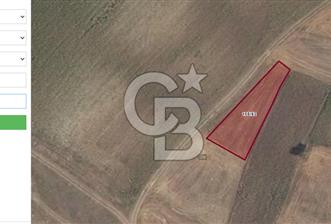 Tekirdağ Sarayda 794m2 Bağ yeri Arsa.. - 1 - 333597