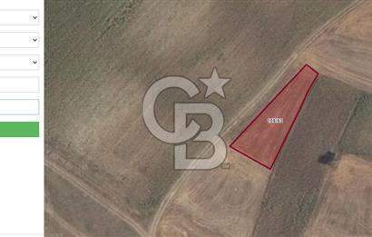 Tekirdağ Sarayda 794m2 Bağ yeri Arsa..