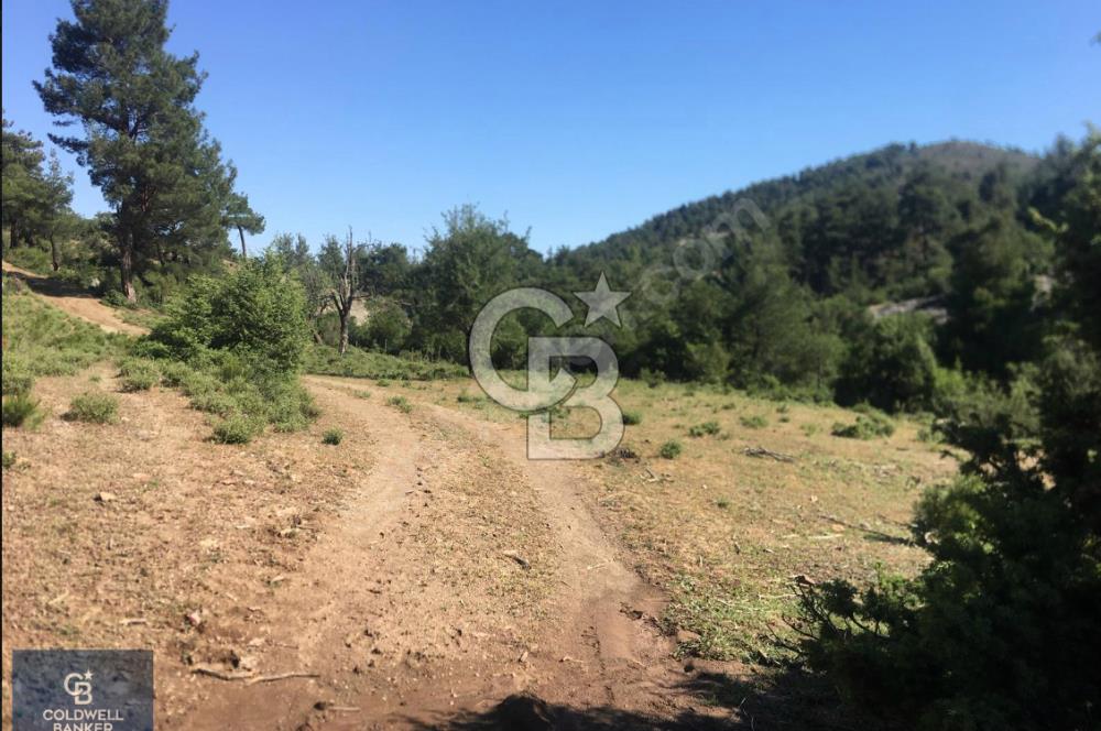 ÇANAKKALE SERÇİLER KÖYÜ'N DE 8883 M2 SATILIK TARLA