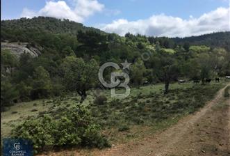 ÇANAKKALE SERÇİLER KÖYÜ'N DE 8883 M2 SATILIK TARLA - 6 - 333598