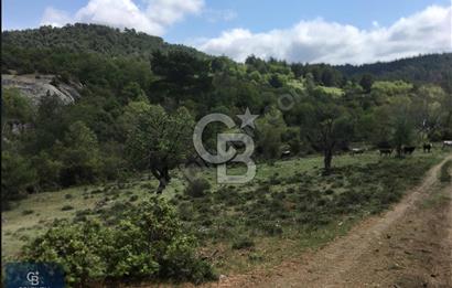 ÇANAKKALE SERÇİLER KÖYÜ'N DE 8883 M2 SATILIK TARLA