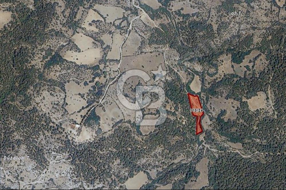 ÇANAKKALE SERÇİLER KÖYÜ'N DE 8883 M2 SATILIK TARLA