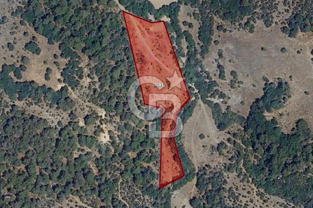 ÇANAKKALE SERÇİLER KÖYÜ'N DE 8883 M2 SATILIK TARLA