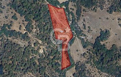 ÇANAKKALE SERÇİLER KÖYÜ'N DE 8883 M2 SATILIK TARLA