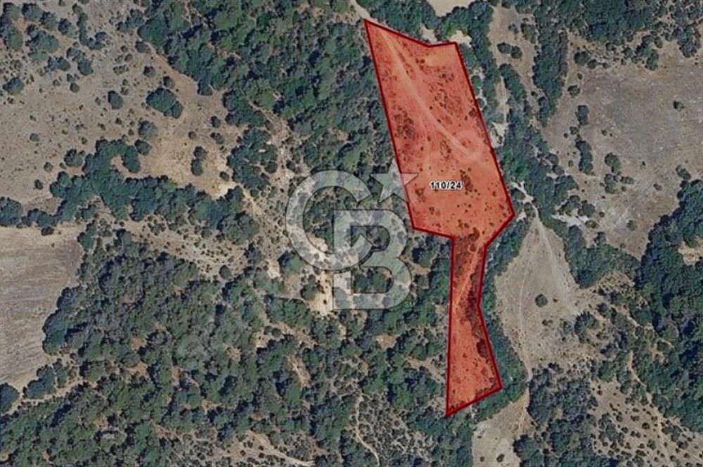 ÇANAKKALE SERÇİLER KÖYÜ'N DE 8883 M2 SATILIK TARLA