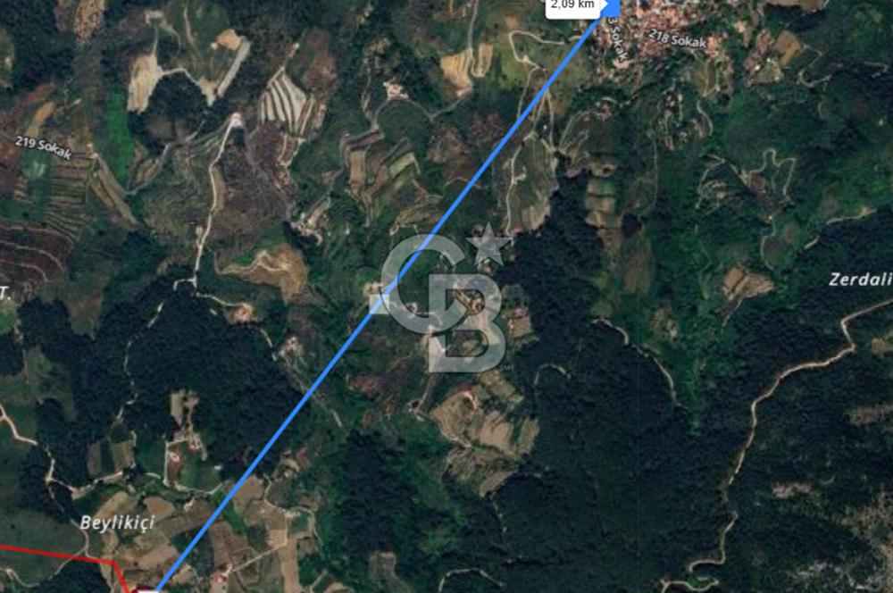 Yatırımlık Bağ Evi Yapılabilecek 8470m2 İncir Bahçesi