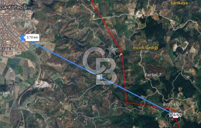 Yatırımlık Bağ Evi Yapılabilecek 8470m2 İncir Bahçesi