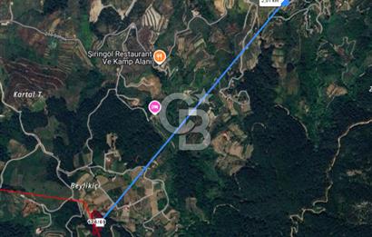 Yatırımlık Bağ Evi Yapılabilecek 8470m2 İncir Bahçesi