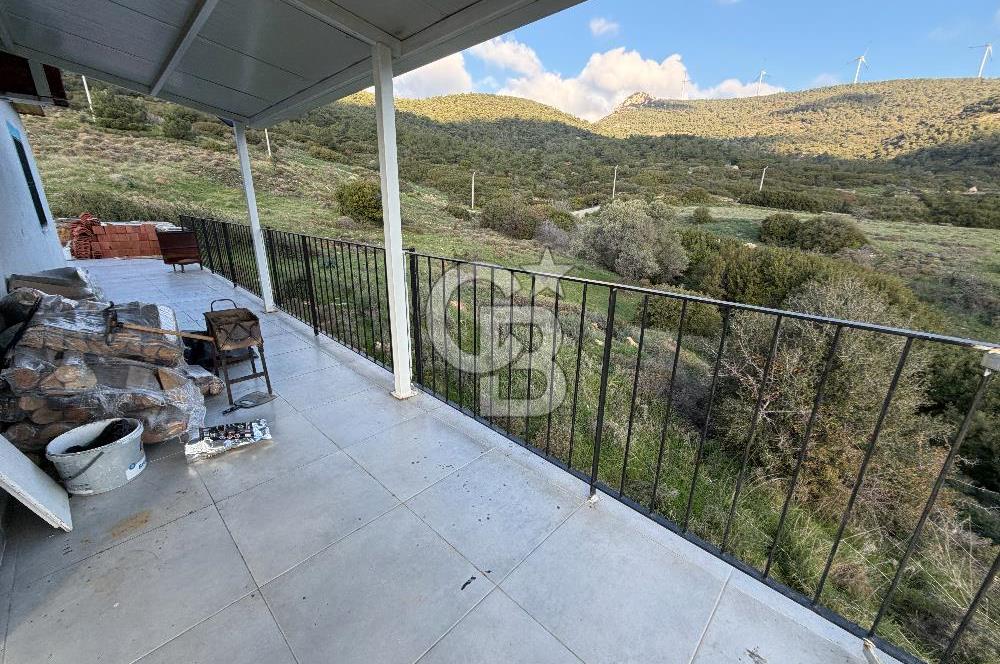 Foça Kocamehmetler'de Satılık Bağ