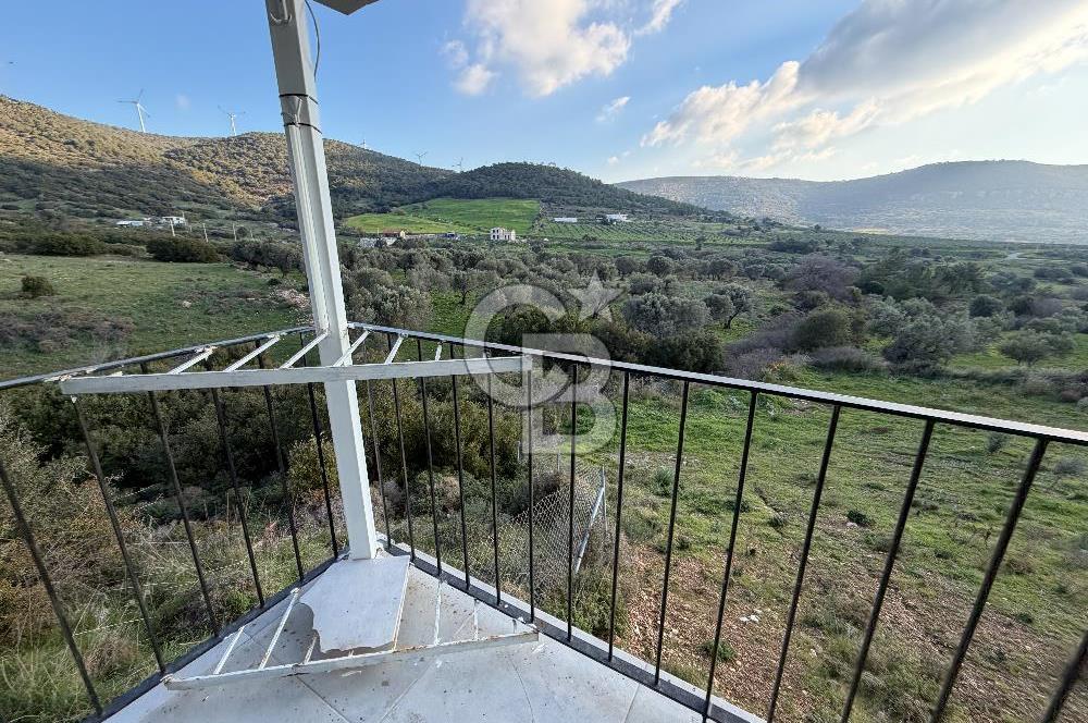 Foça Kocamehmetler'de Satılık Bağ